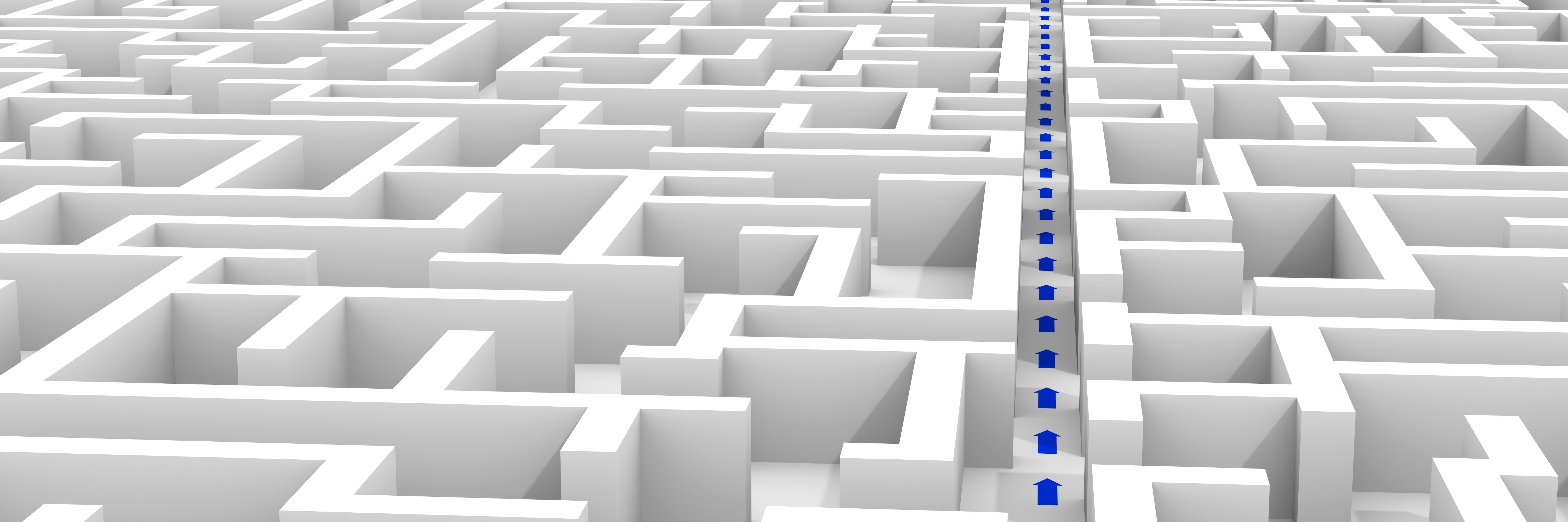 Labyrinth_ERP-Auswahl_Richtiges ERP finden_10 häufigste Fehler